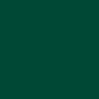605 VERT FORET