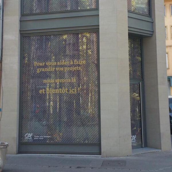 adhésif microperforé sur vitrine