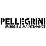 LOGO PELELGRINI