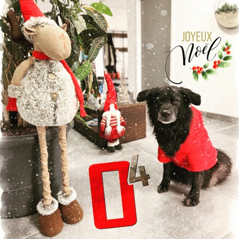 ✨ Toute l’équipe O PUISSANCE 4 vous souhaite un Joyeux Noël ! ✨

Que ces fêtes soient l’occasion de déconnecter, de profiter de vos proches et de faire le plein d’énergie pour la nouvelle année. 🥂

Un immense MERCI à tous nos clients pour cette année incroyable à vos côtés. 🙌

Profitez bien et à très vite ! 🎅🎁

PS : Sayan vous attends avec impatience pour 2026 !