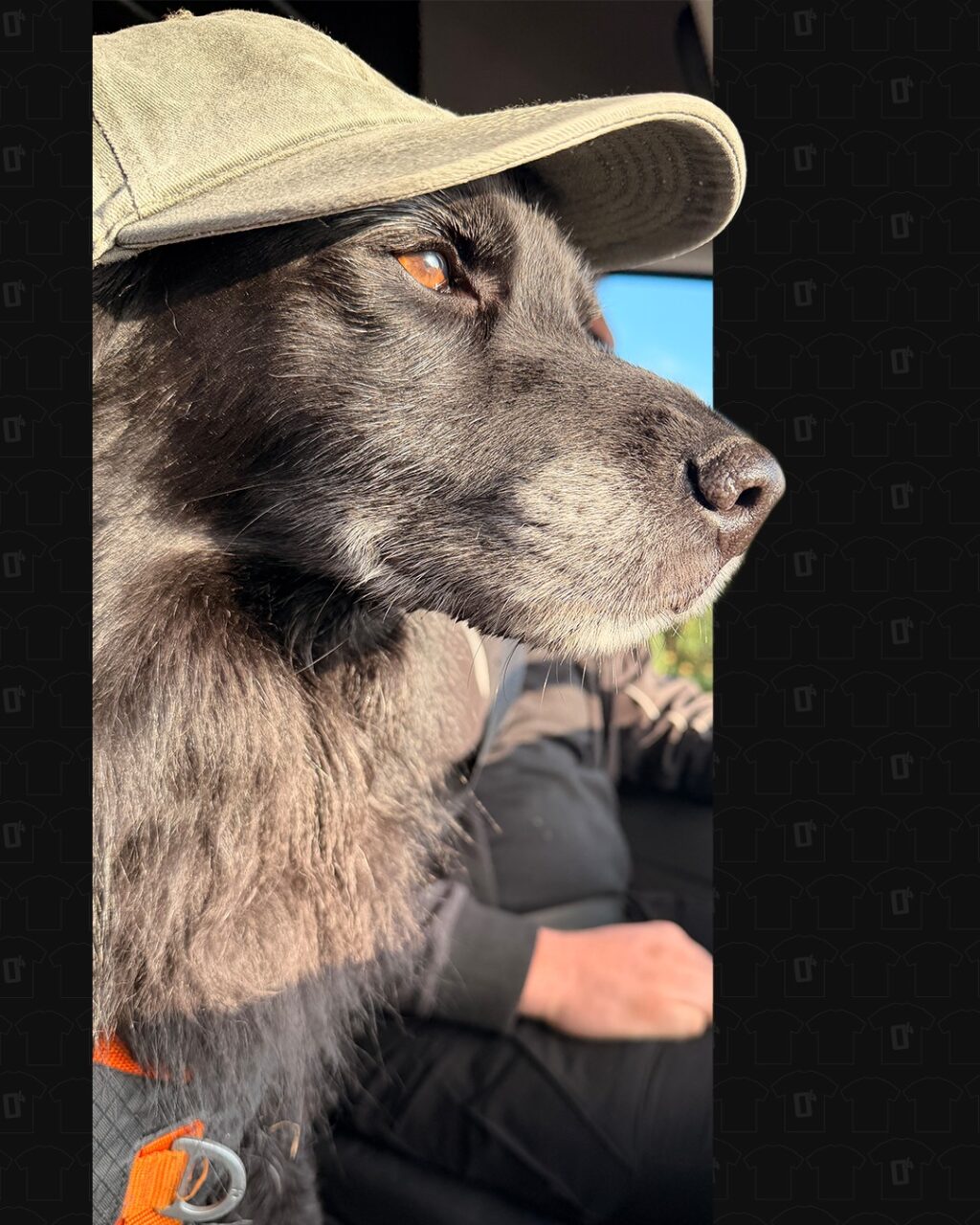 Êtes-vous équipé pour les beaux jours ? ☀️
Sayan, lui, l’est en tout cas 🐶✨

Tenue prête, style validé… et surtout visibilité assurée 👀

Le textile personnalisé, c’est l’occasion parfaite de mettre en avant votre image tout en équipant vos équipes pour la saison.

✔️ Une visibilité au quotidien
✔️ Une image professionnelle
✔️ Un marquage de qualité et durable

Et ça tombe bien 👀
Notre offre -15% sur nos textiles est en cours : le moment idéal pour s’équiper. 
Vous avez jusqu’au 30 avril pour en profiter alors n’attendez pas !

🌐 https://www.opuissance4.com

📩 contact@opuissance4.com 

📍 57a rue des Romains, Sausheim

#TextilePersonnalisé #MarquageTextile #CommunicationVisuelle #Business #MadeInFrance