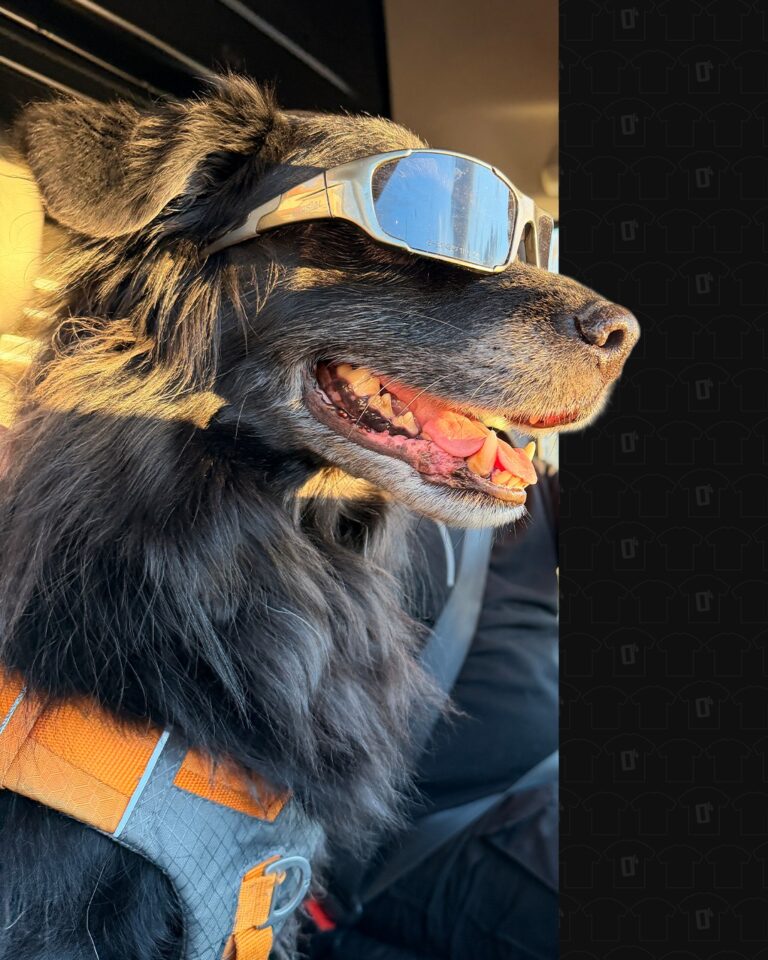 Êtes-vous équipé pour les beaux jours ? ☀️
Sayan, lui, l’est en tout cas 🐶✨

Tenue prête, style validé… et surtout visibilité assurée 👀

Le textile personnalisé, c’est l’occasion parfaite de mettre en avant votre image tout en équipant vos équipes pour la saison.

✔️ Une visibilité au quotidien
✔️ Une image professionnelle
✔️ Un marquage de qualité et durable

Et ça tombe bien 👀
Notre offre -15% sur nos textiles est en cours : le moment idéal pour s’équiper. 
Vous avez jusqu’au 30 avril pour en profiter alors n’attendez pas !

🌐 https://www.opuissance4.com

📩 contact@opuissance4.com 

📍 57a rue des Romains, Sausheim

#TextilePersonnalisé #MarquageTextile #CommunicationVisuelle #Business #MadeInFrance